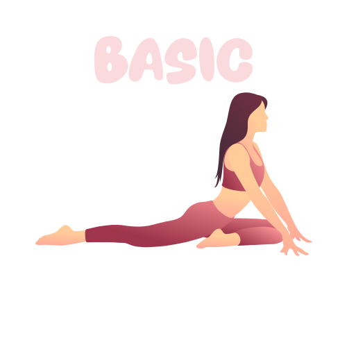 Basic Custom Plan (monthly)